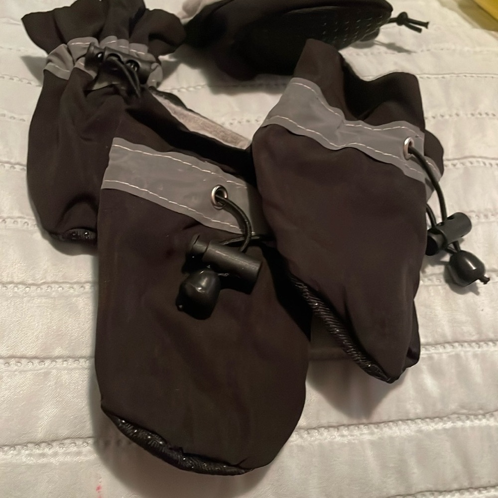 Doggie boots!